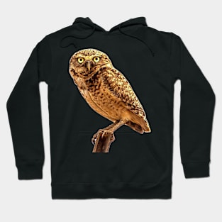 owl Hoodie